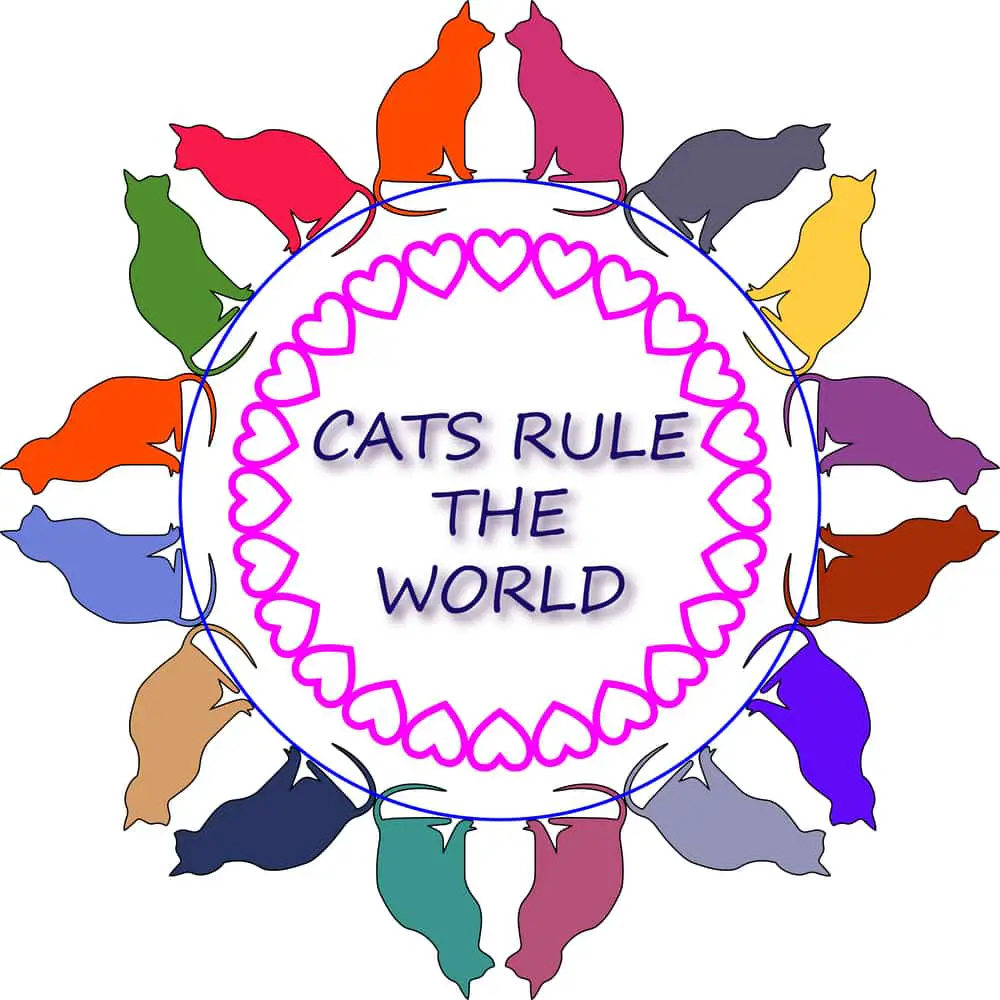 Cats rule sign