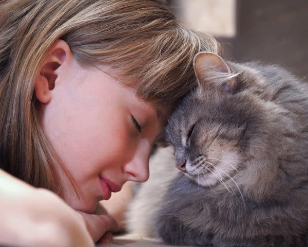 Cat cuddling with girl